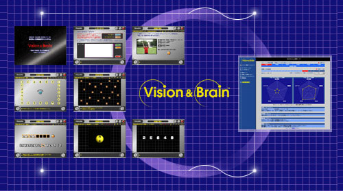 Vision & Brain